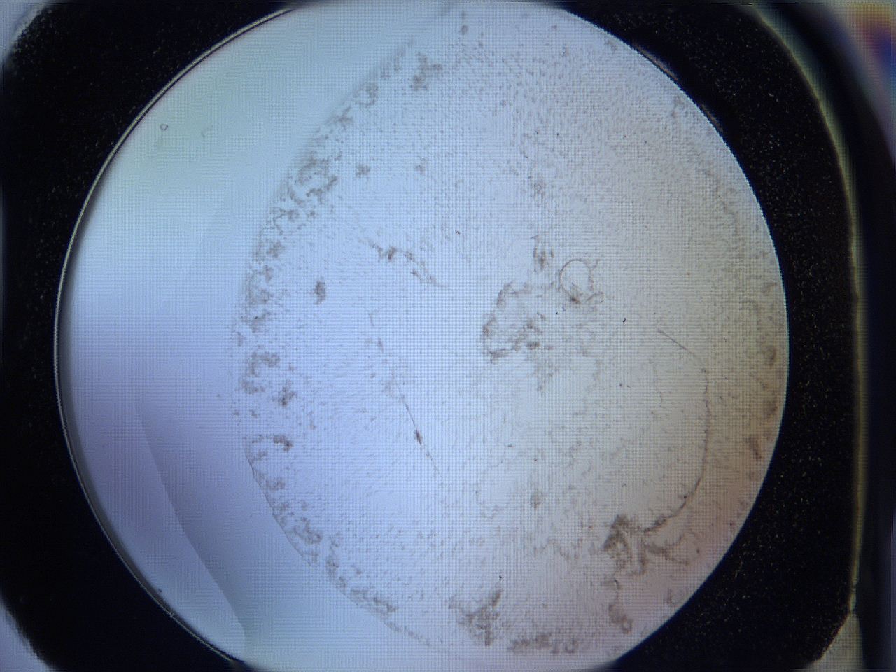 05wa_H4_ImagerDefaults_3.jpg