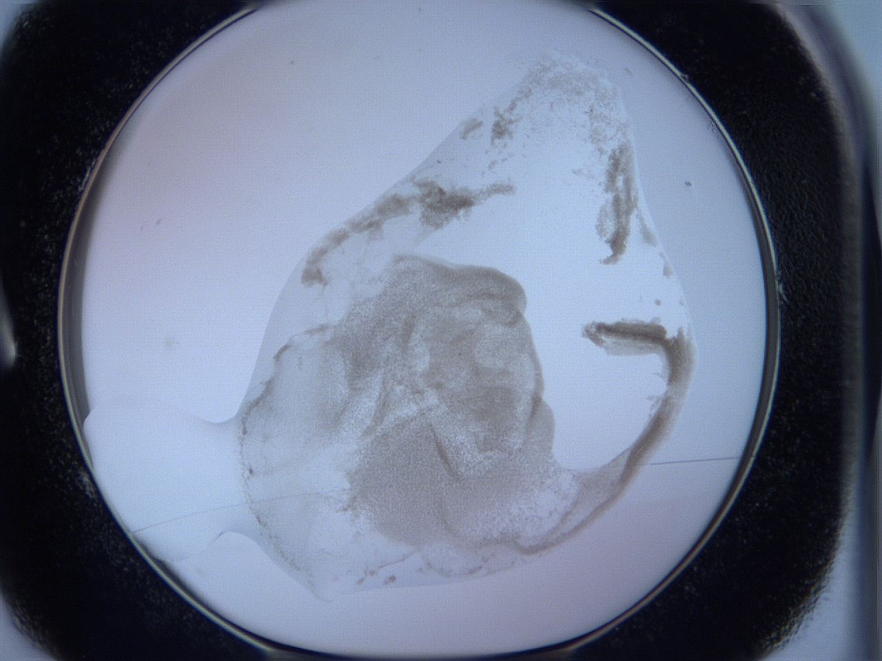 05wb_A1_ImagerDefaults_3.jpg