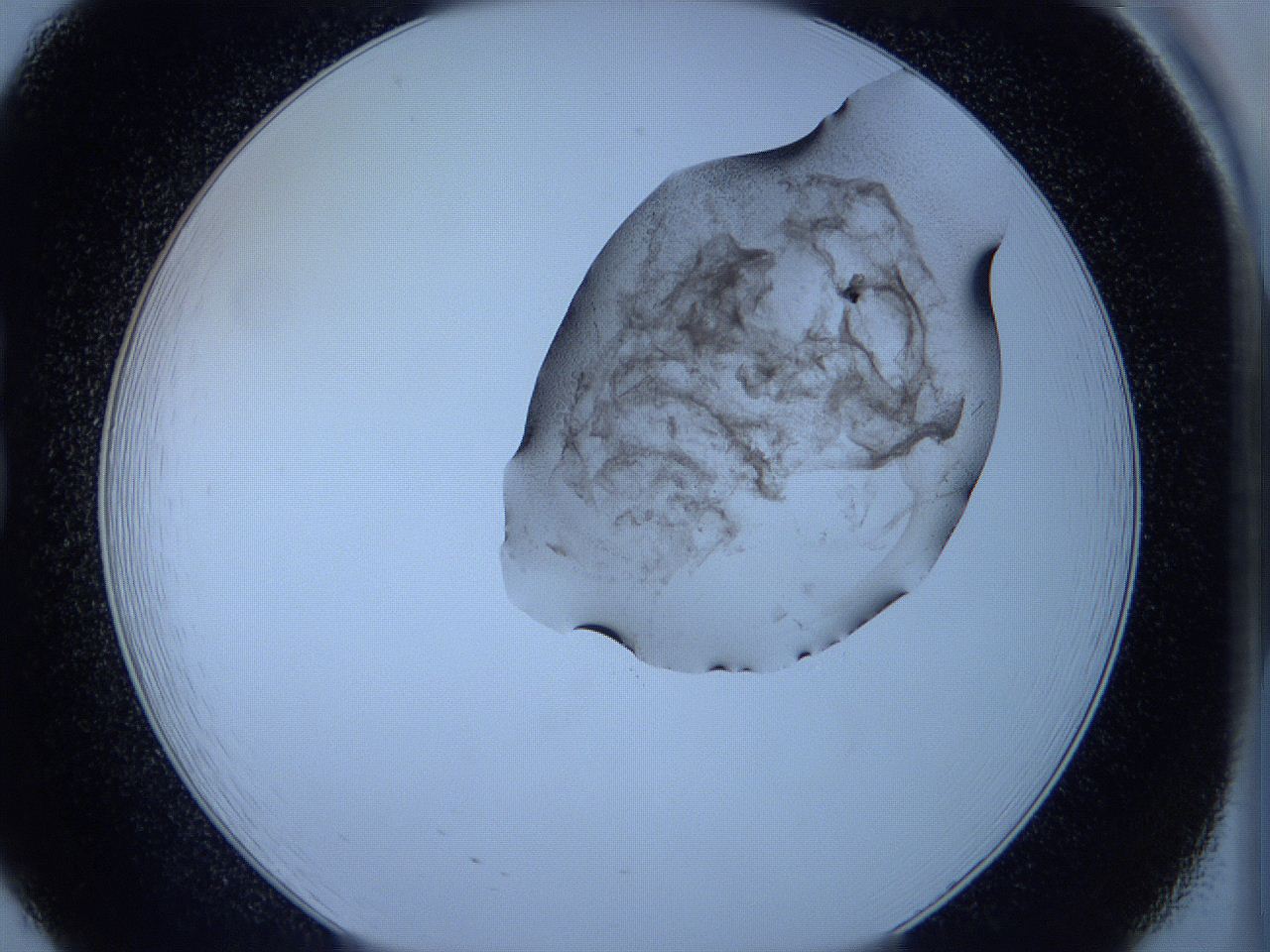 05wb_B8_ImagerDefaults_3.jpg