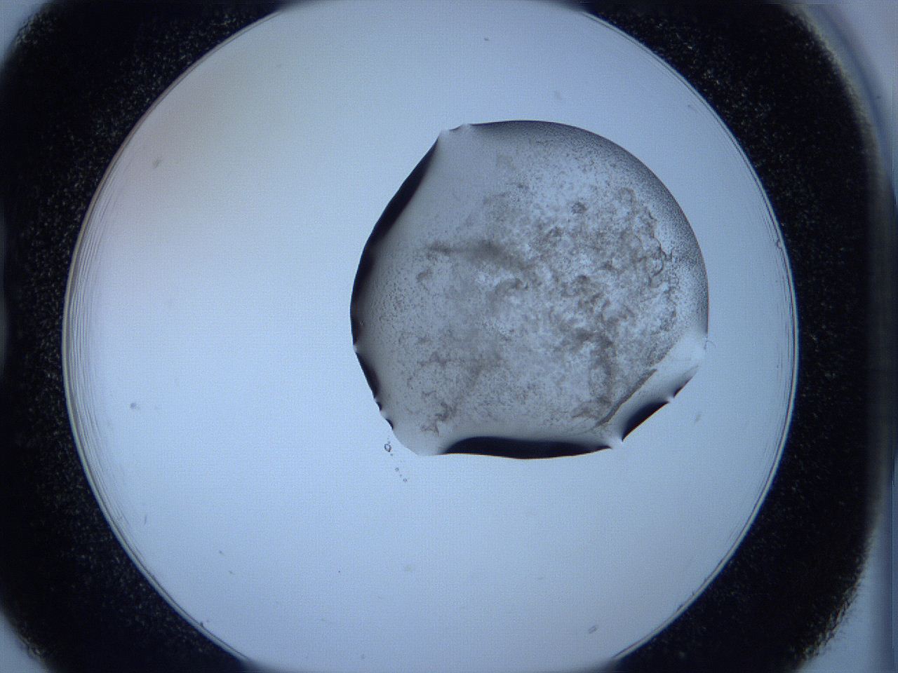 05wb_B6_ImagerDefaults_3.jpg
