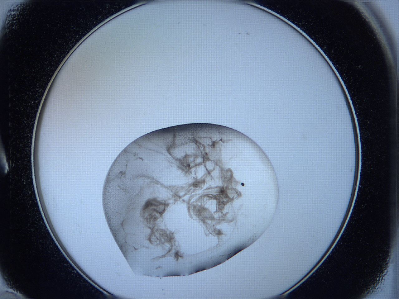 05wb_A10_ImagerDefaults_3.jpg