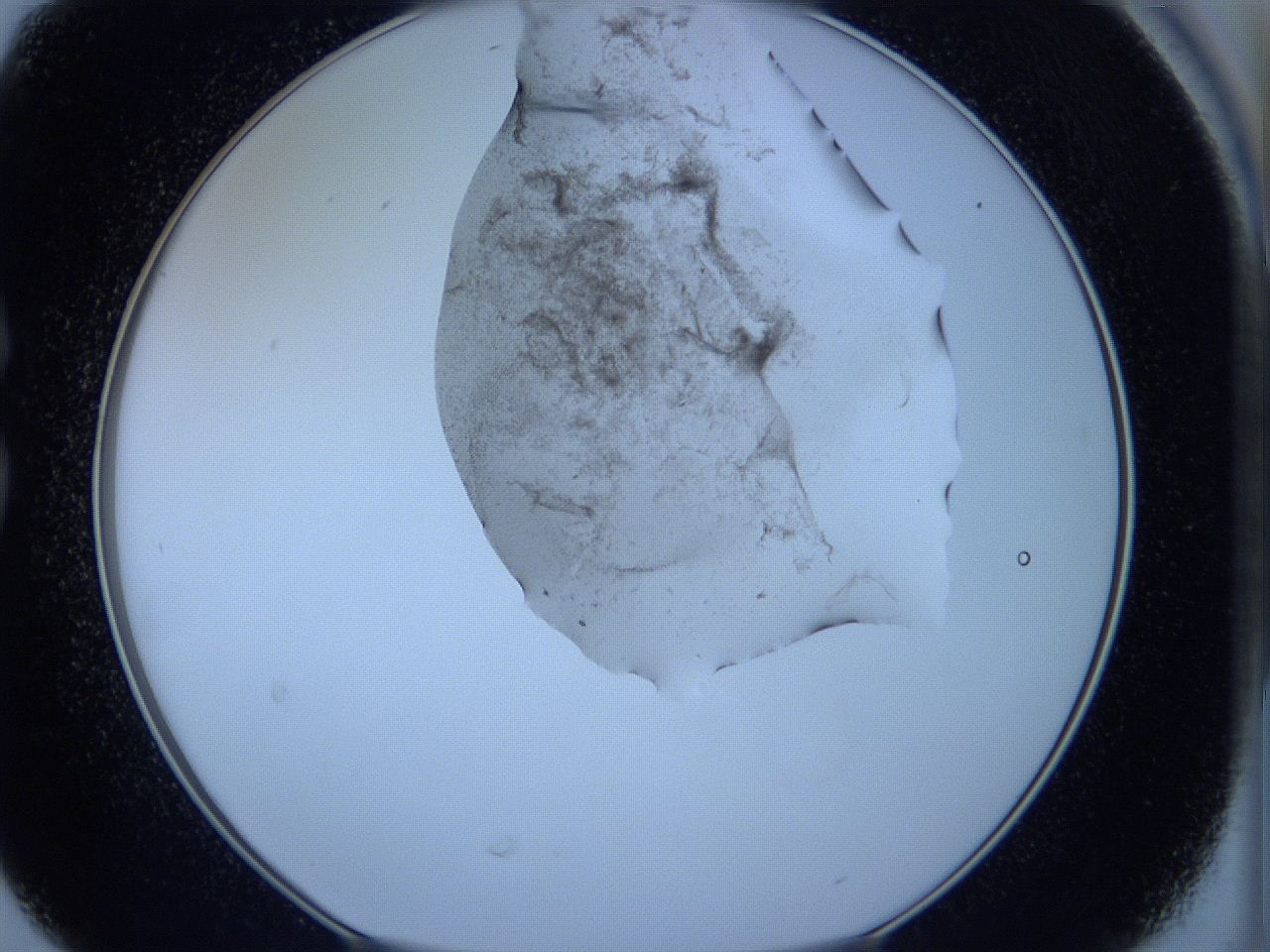05wb_C6_ImagerDefaults_3.jpg