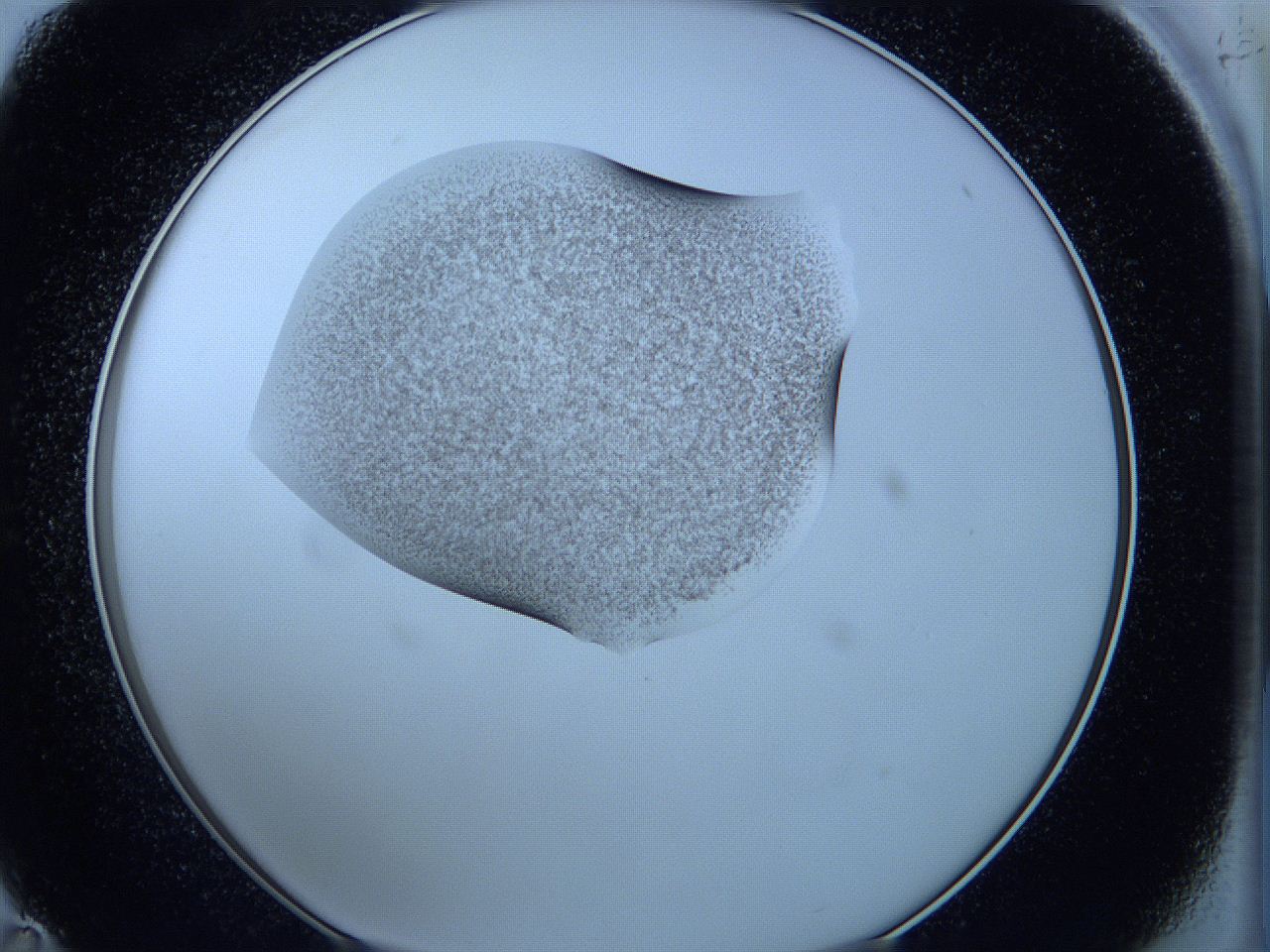 05wb_C11_ImagerDefaults_3.jpg