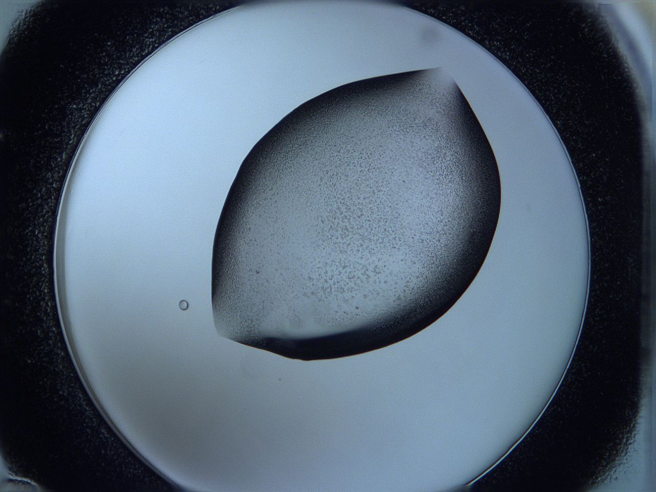 05wb_C12_ImagerDefaults_3.jpg