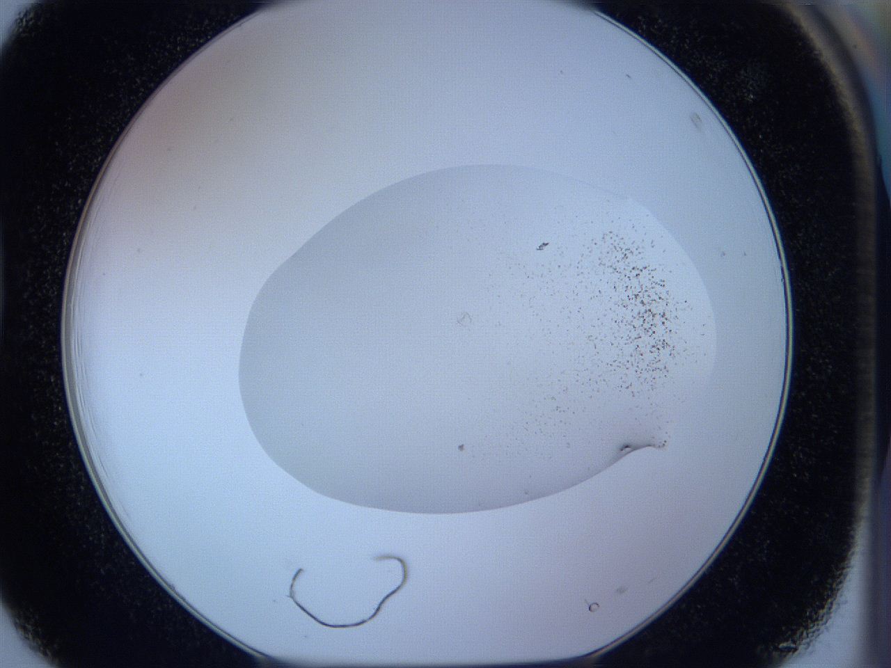 05wb_D3_ImagerDefaults_3.jpg