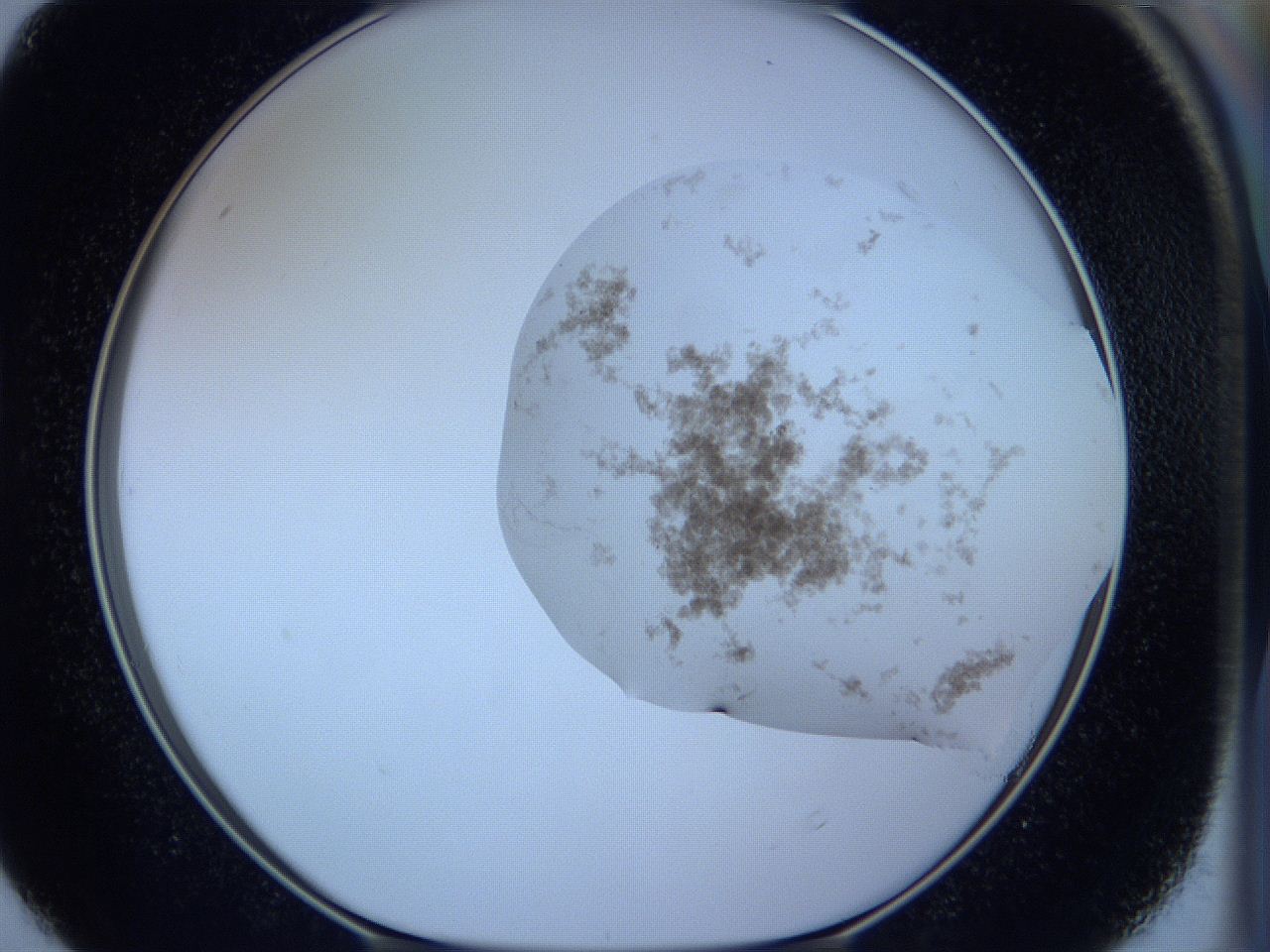 05wb_D4_ImagerDefaults_3.jpg