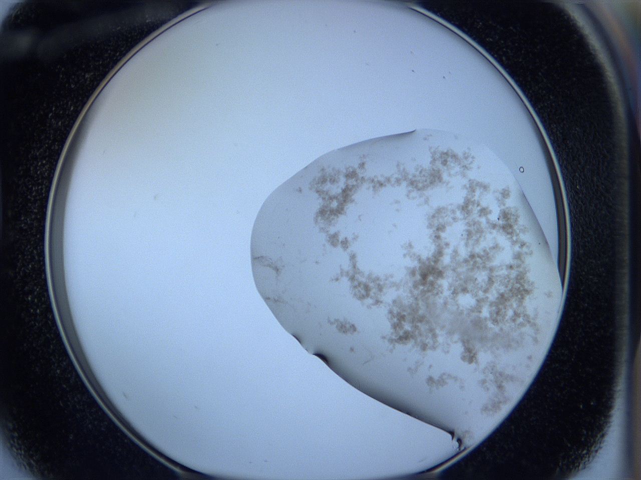 05wb_D5_ImagerDefaults_3.jpg
