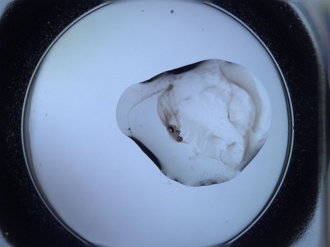 05wb_D9_ImagerDefaults_3.jpg