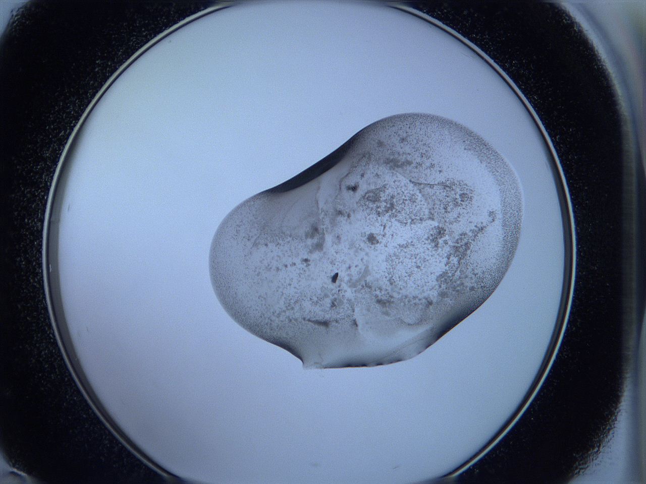 05wb_D10_ImagerDefaults_3.jpg