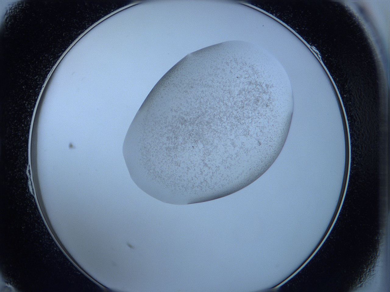 05wb_B11_ImagerDefaults_3.jpg