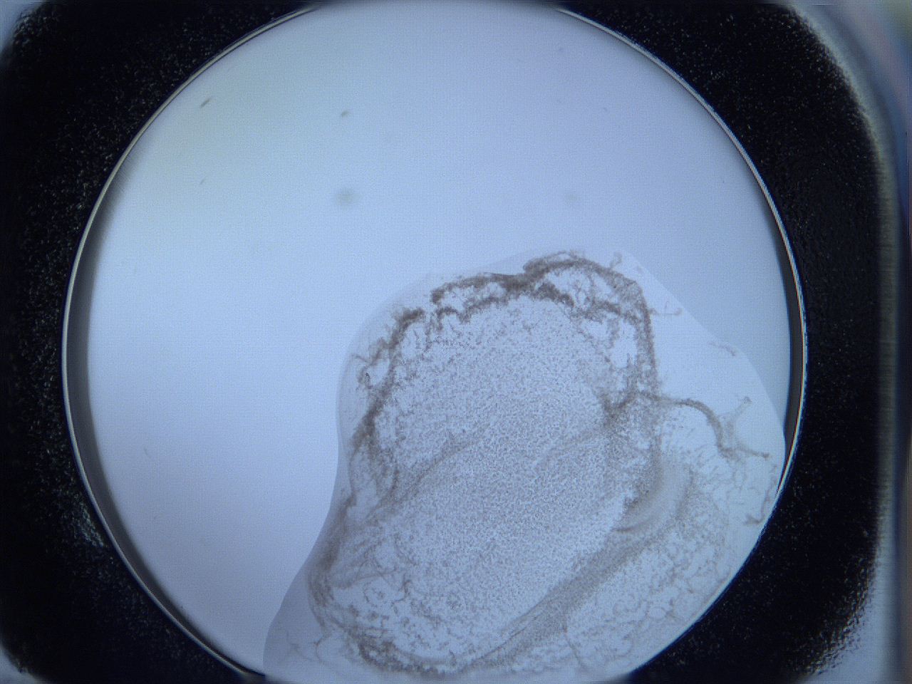 05wb_E10_ImagerDefaults_3.jpg