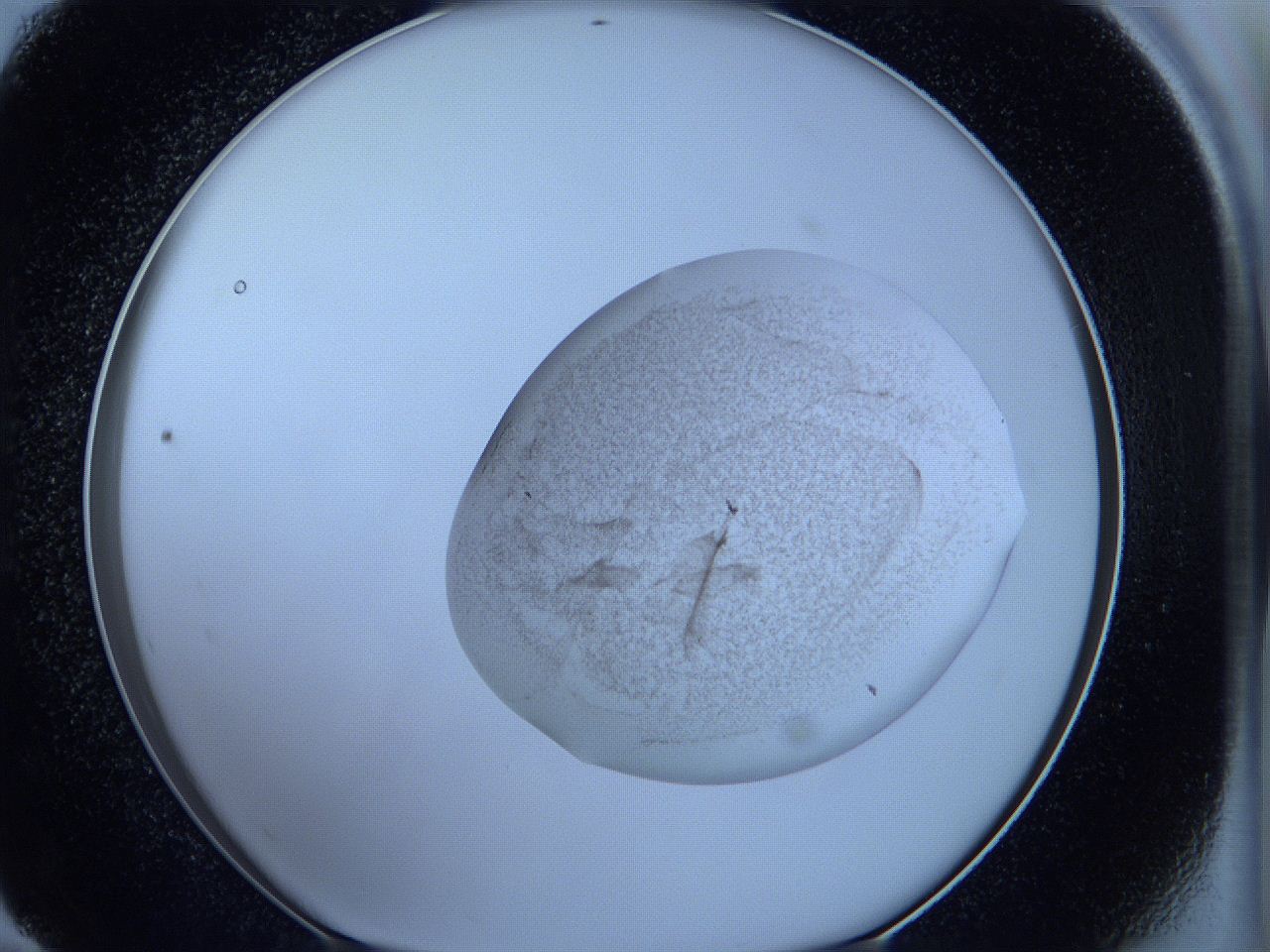 05wb_E11_ImagerDefaults_3.jpg