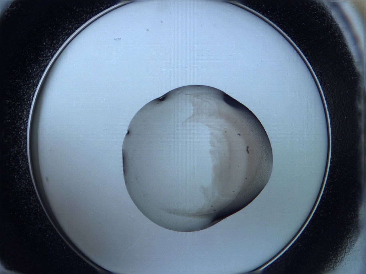 05wb_E12_ImagerDefaults_3.jpg