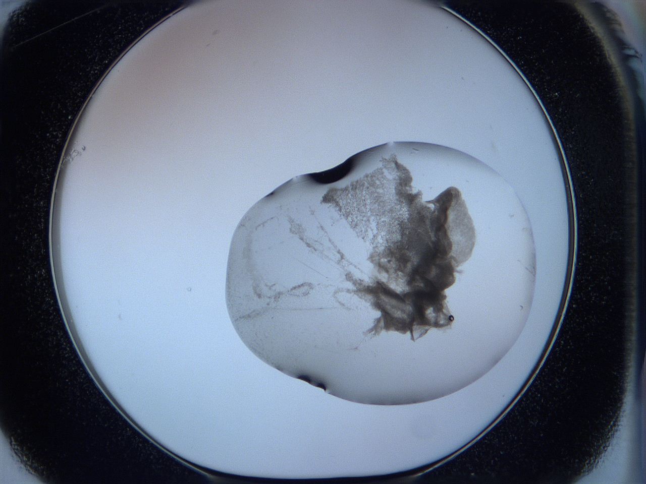 05wb_F1_ImagerDefaults_3.jpg