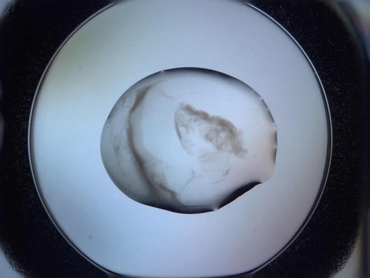 05wb_G3_ImagerDefaults_3.jpg
