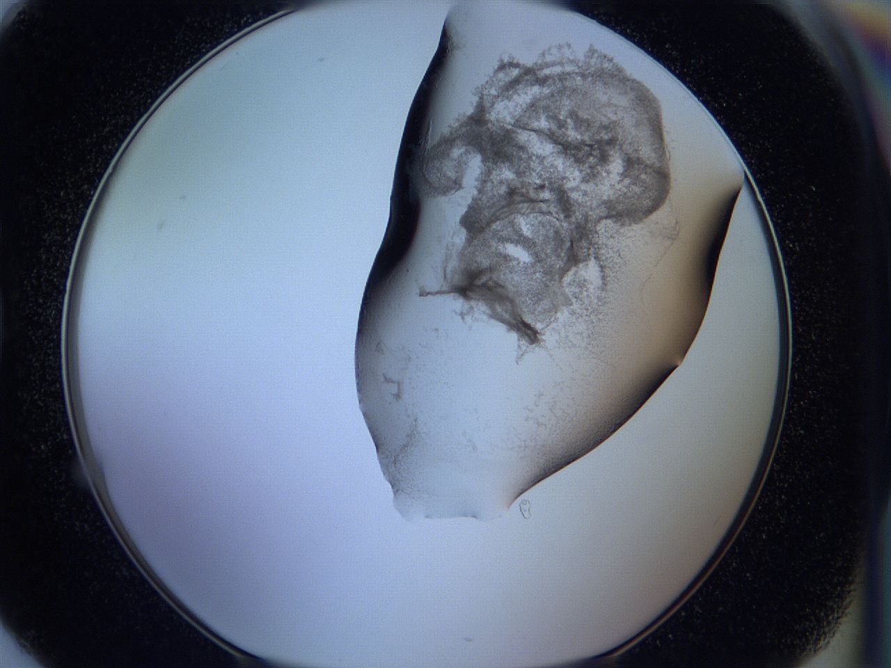 05wb_G6_ImagerDefaults_3.jpg