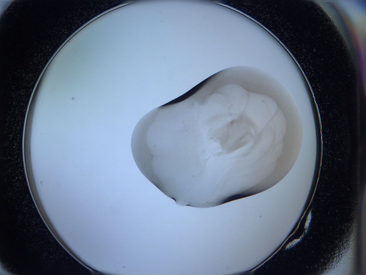 05wb_G10_ImagerDefaults_3.jpg