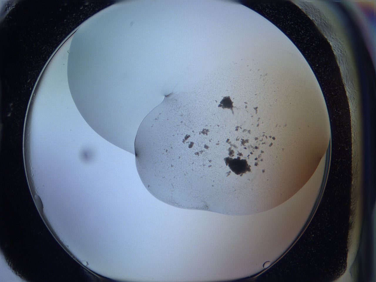 05wb_H4_ImagerDefaults_3.jpg