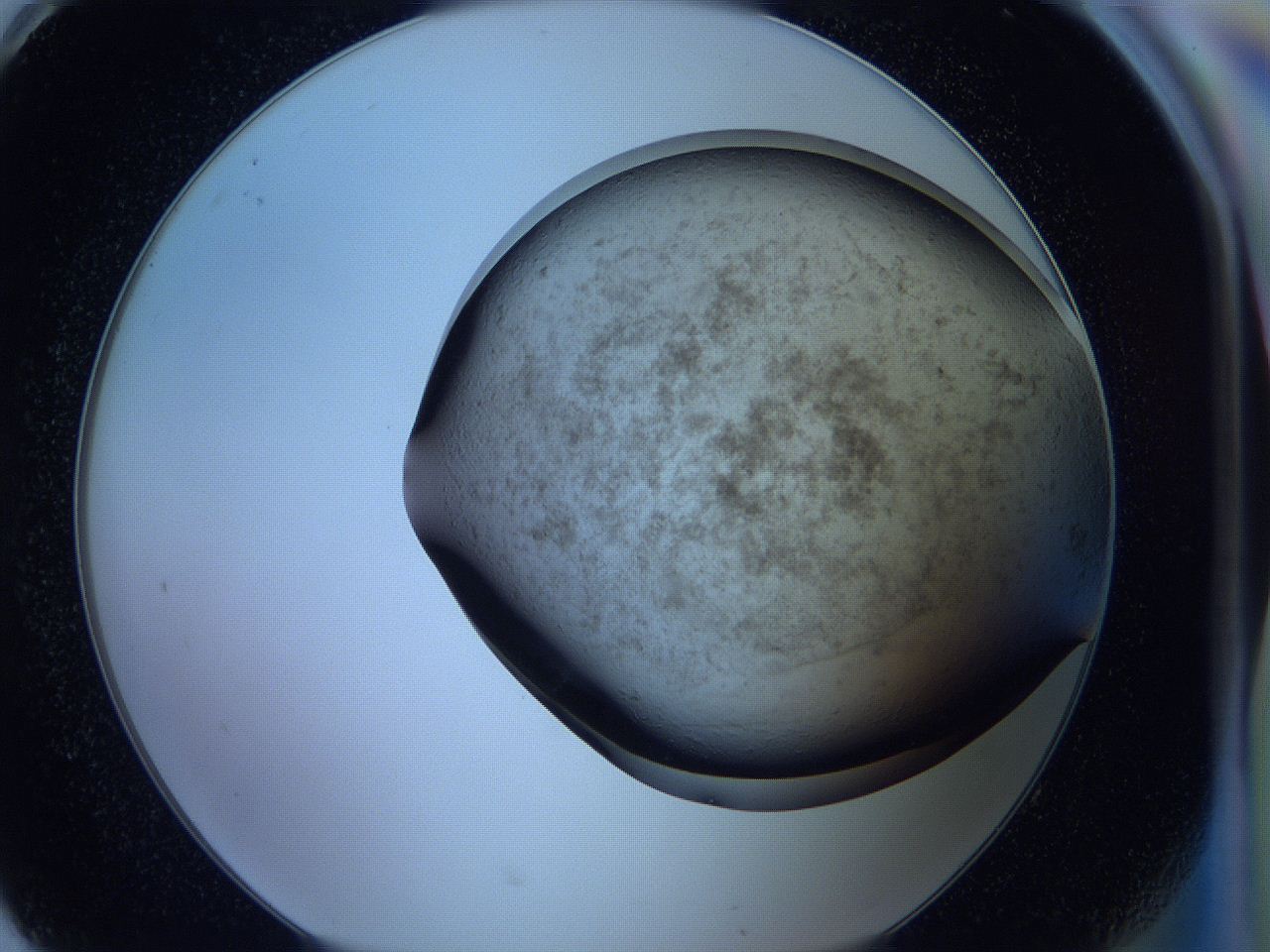 05wb_H8_ImagerDefaults_3.jpg