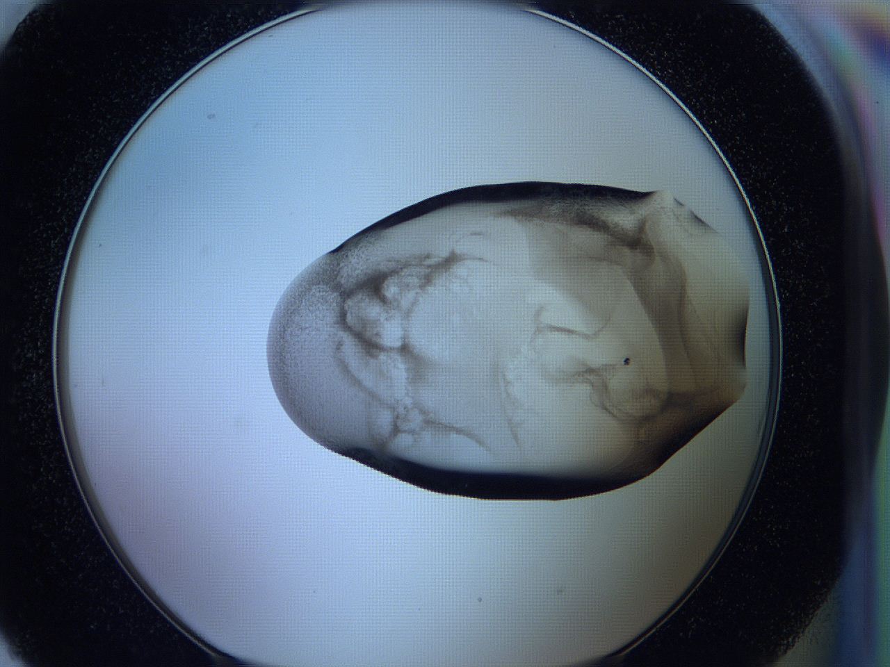 05wb_H9_ImagerDefaults_3.jpg