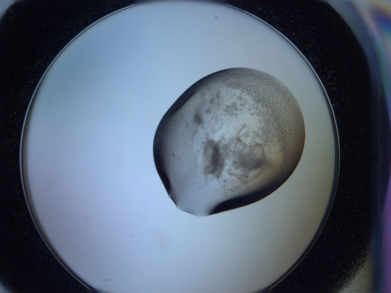 05wb_H10_ImagerDefaults_3.jpg