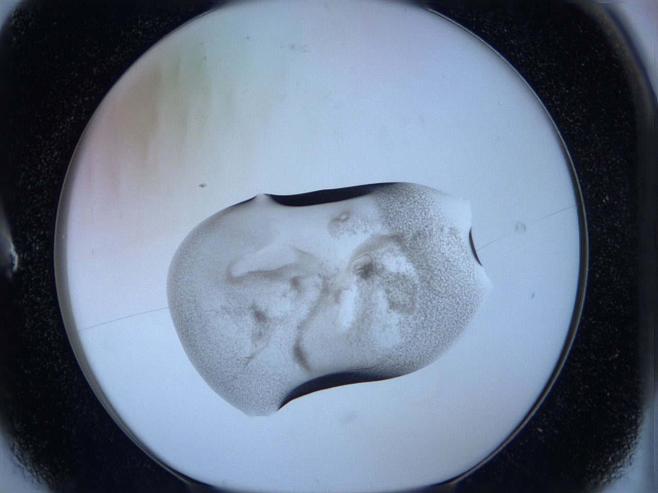 05wc_A6_ImagerDefaults_3.jpg
