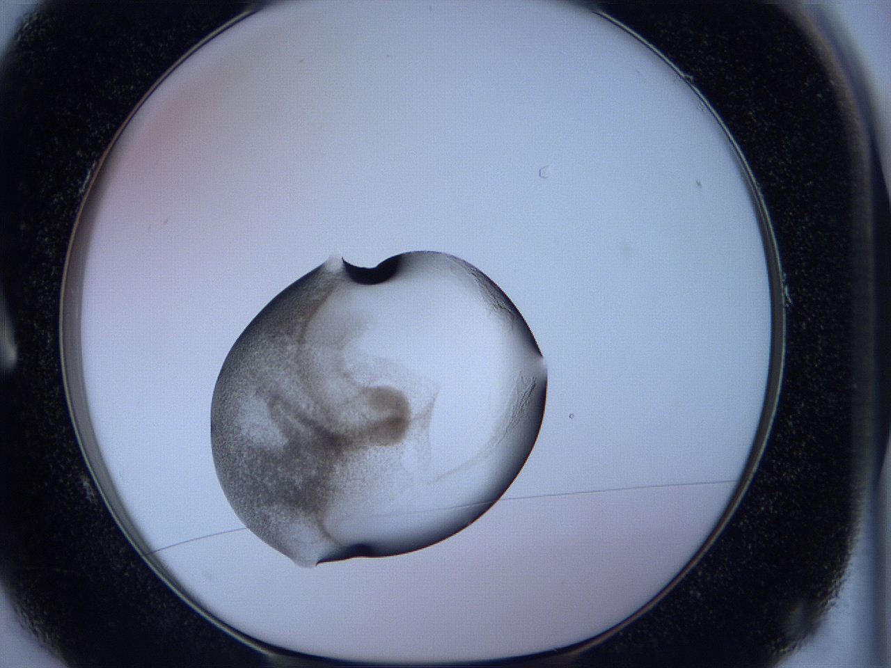 05wc_A1_ImagerDefaults_3.jpg