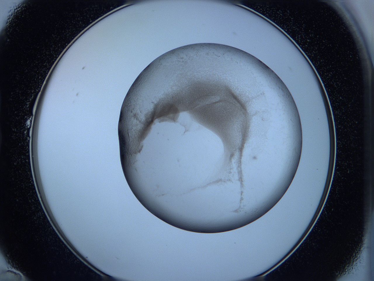 05wc_B10_ImagerDefaults_3.jpg