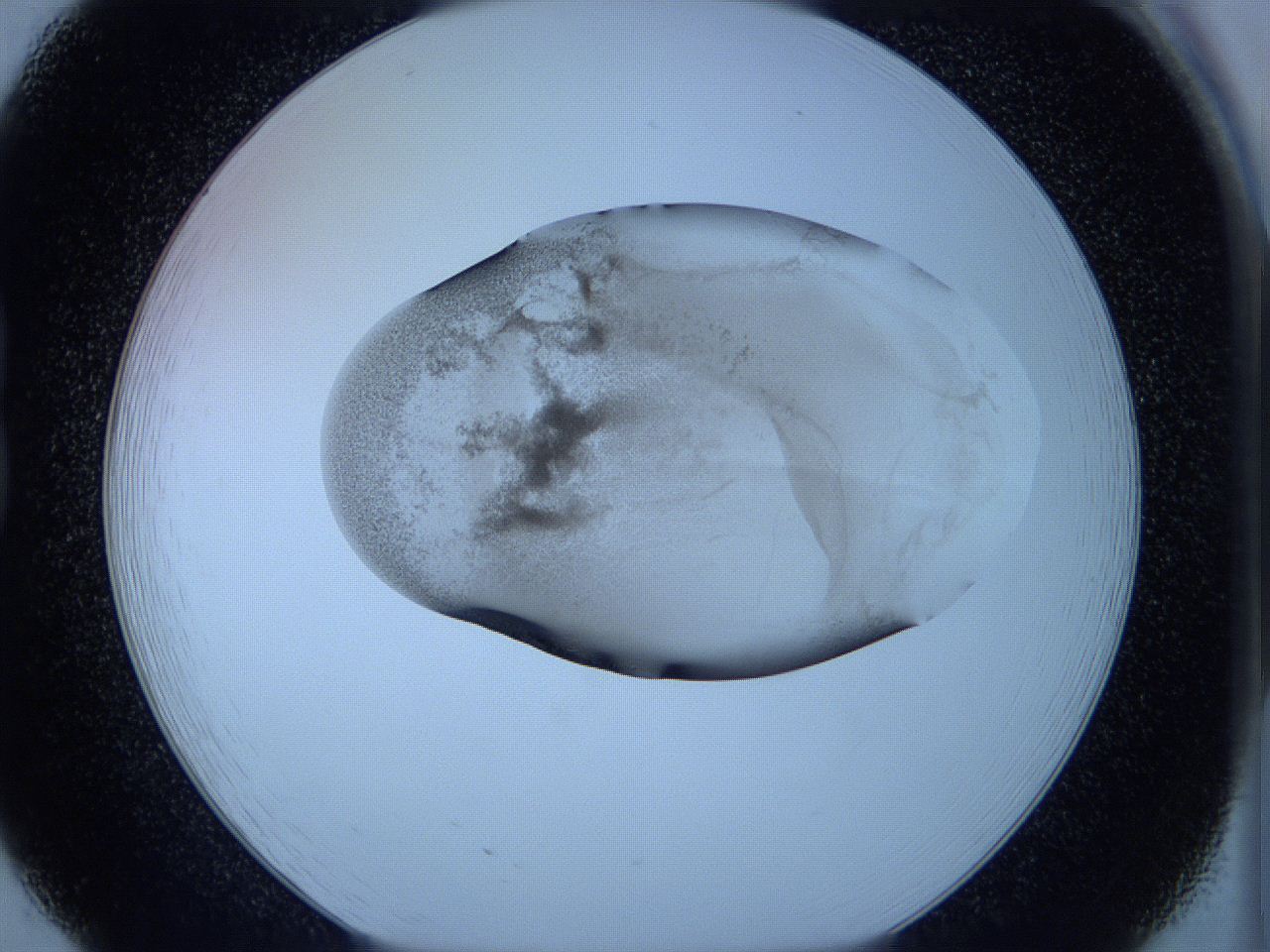 05wc_B8_ImagerDefaults_3.jpg