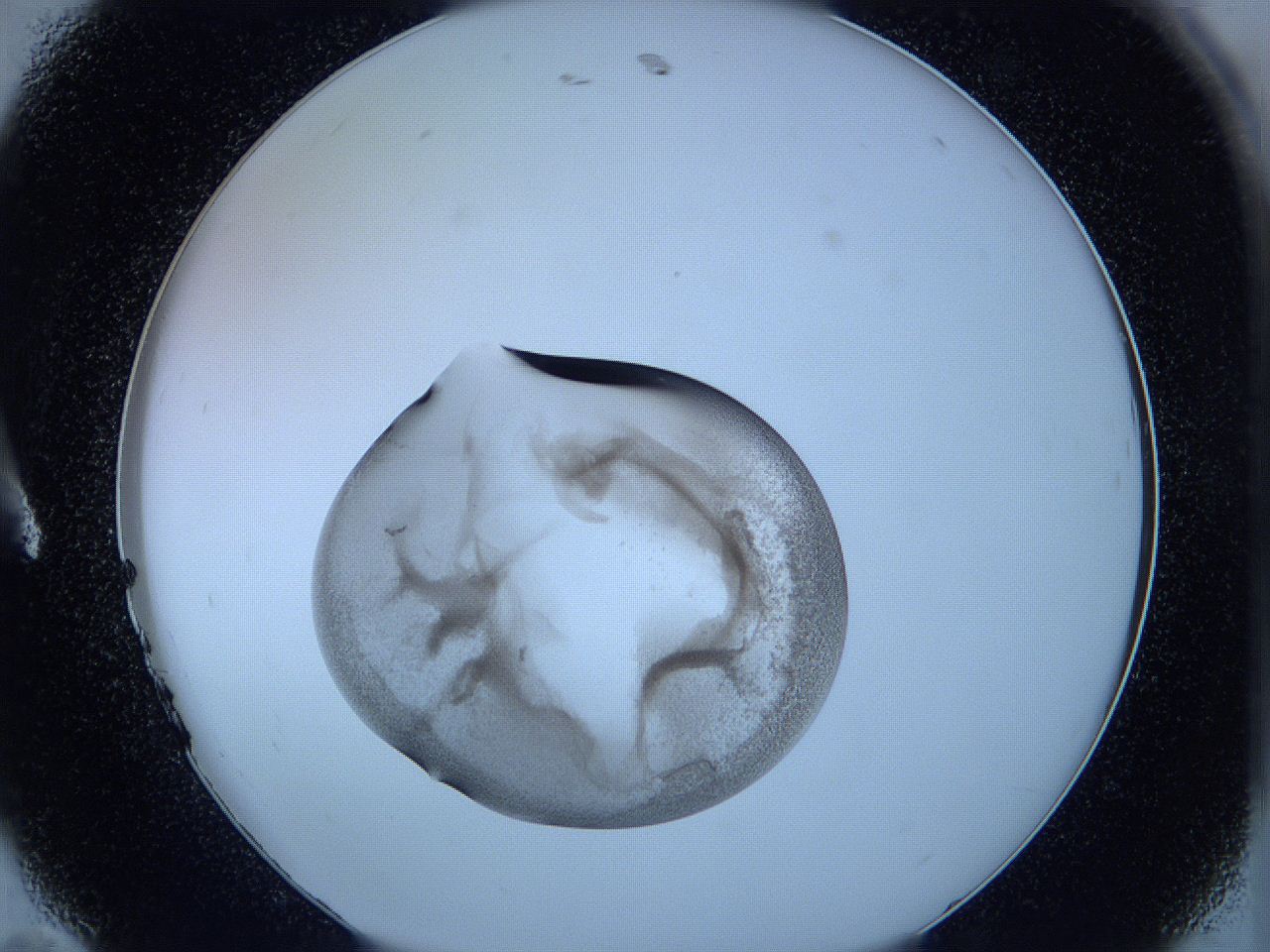 05wc_A11_ImagerDefaults_3.jpg