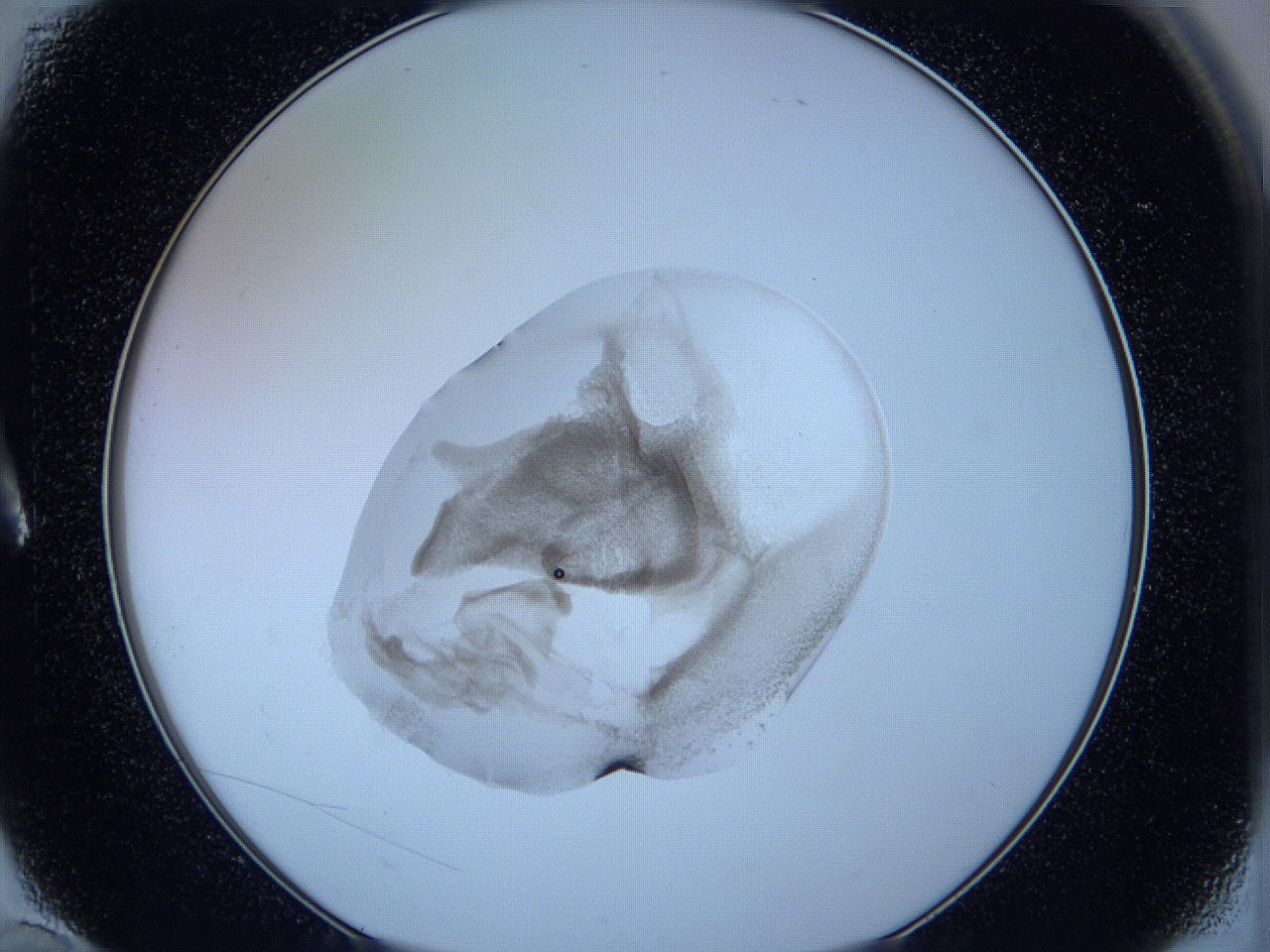 05wc_A10_ImagerDefaults_3.jpg