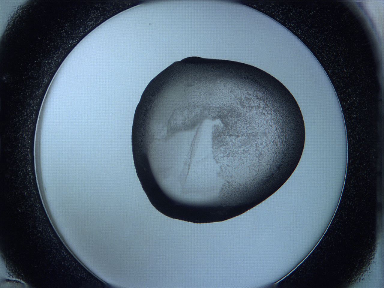 05wc_C12_ImagerDefaults_3.jpg