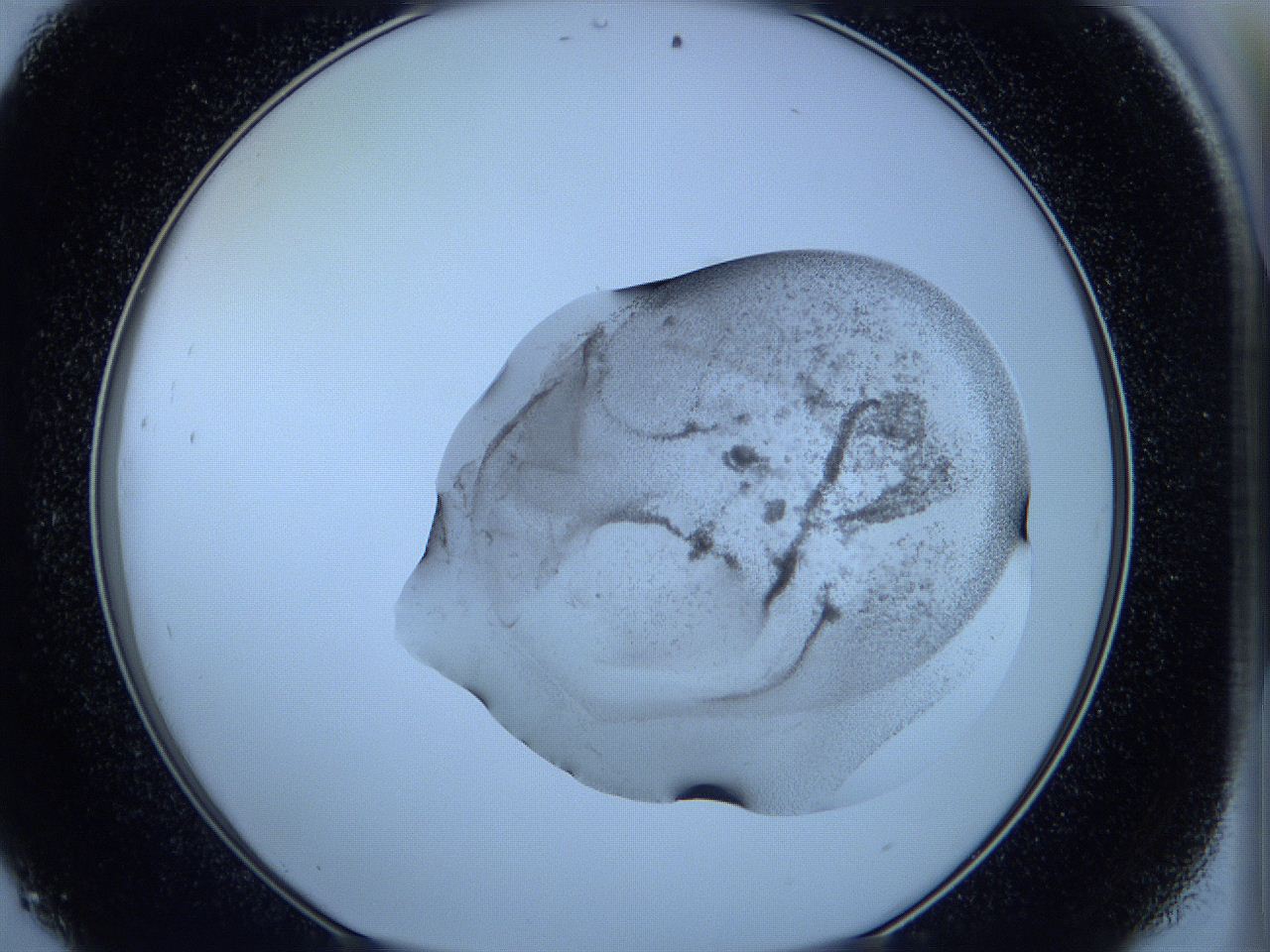 05wc_D9_ImagerDefaults_3.jpg