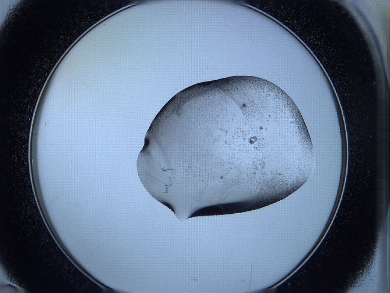 05wc_D10_ImagerDefaults_3.jpg