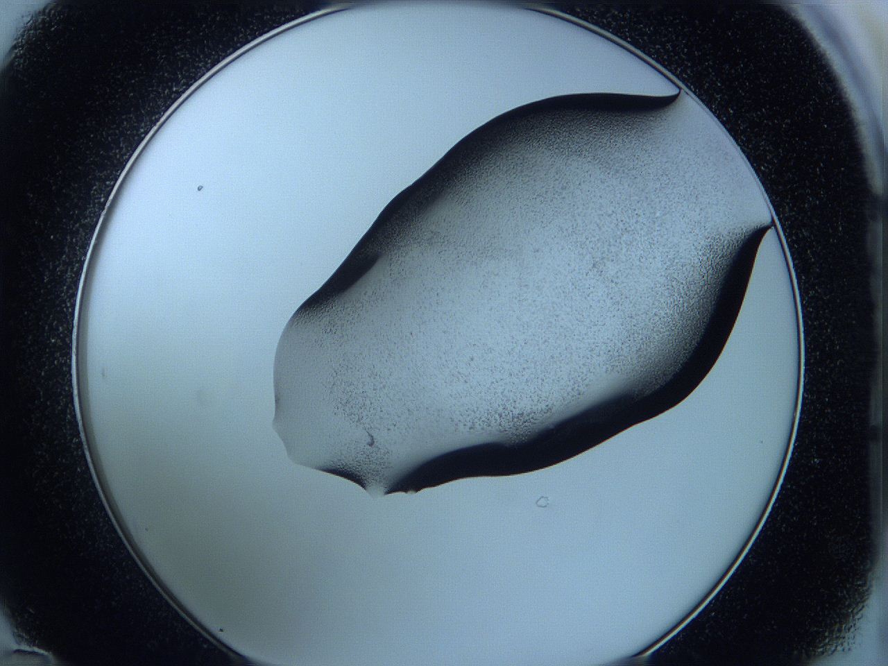 05wc_D12_ImagerDefaults_3.jpg
