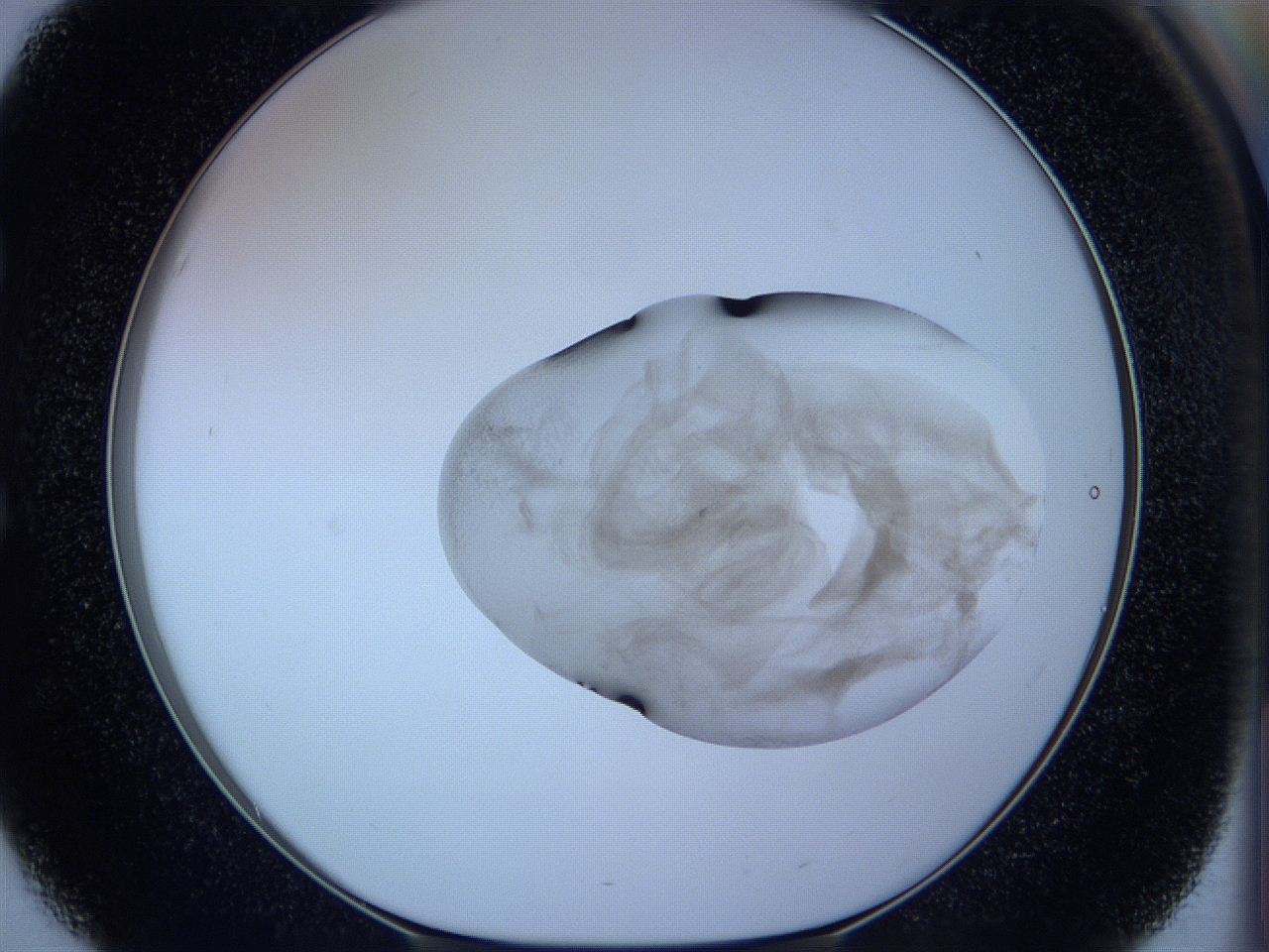 05wc_E3_ImagerDefaults_3.jpg