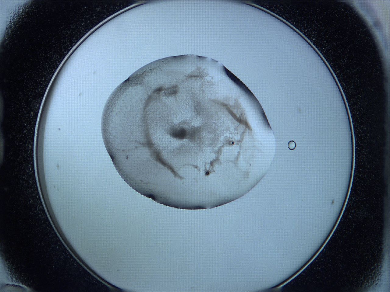 05wc_B12_ImagerDefaults_3.jpg