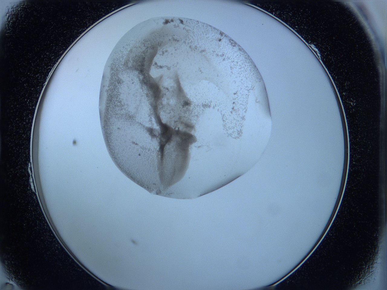 05wc_B11_ImagerDefaults_3.jpg