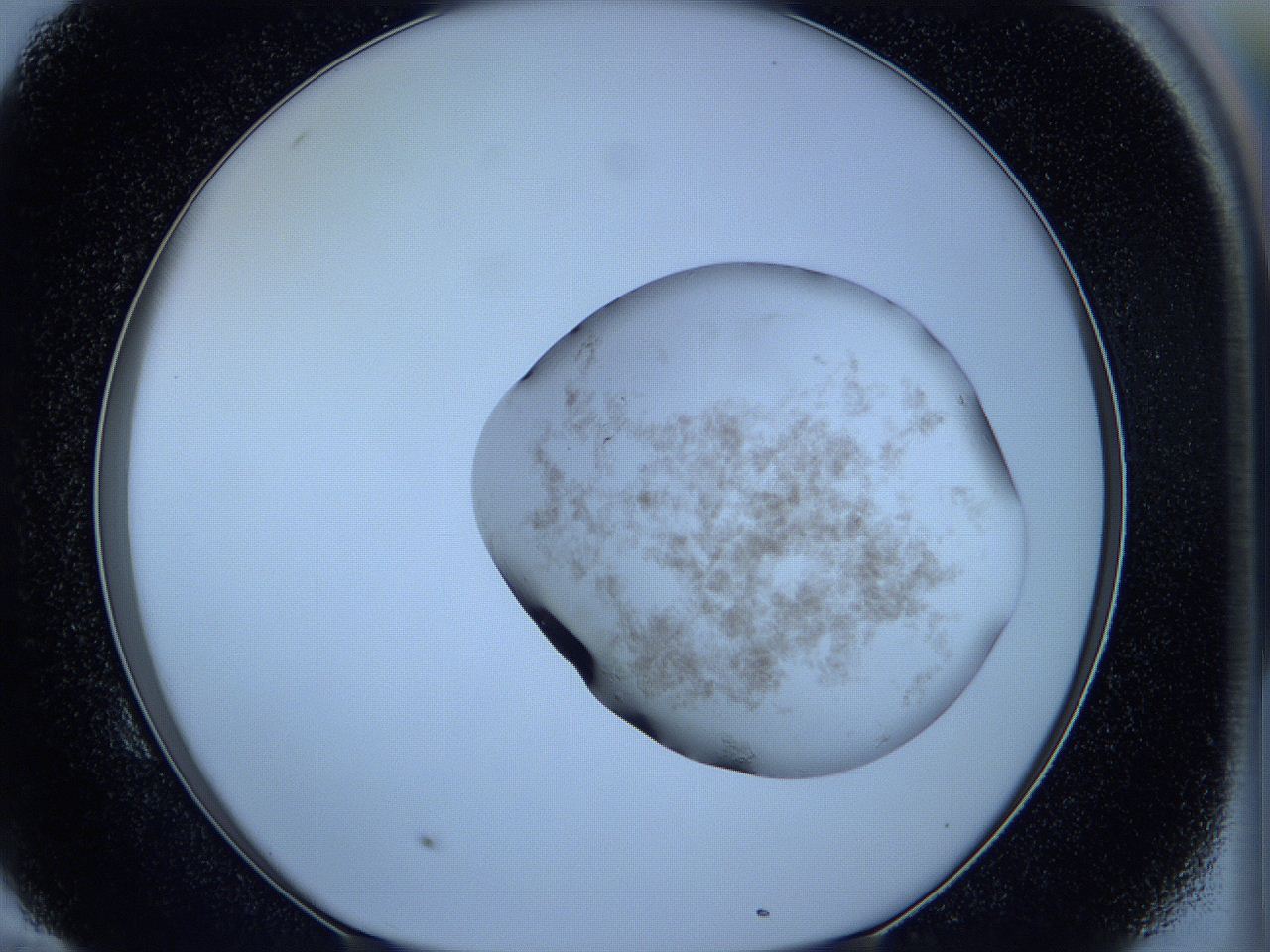 05wc_E10_ImagerDefaults_3.jpg
