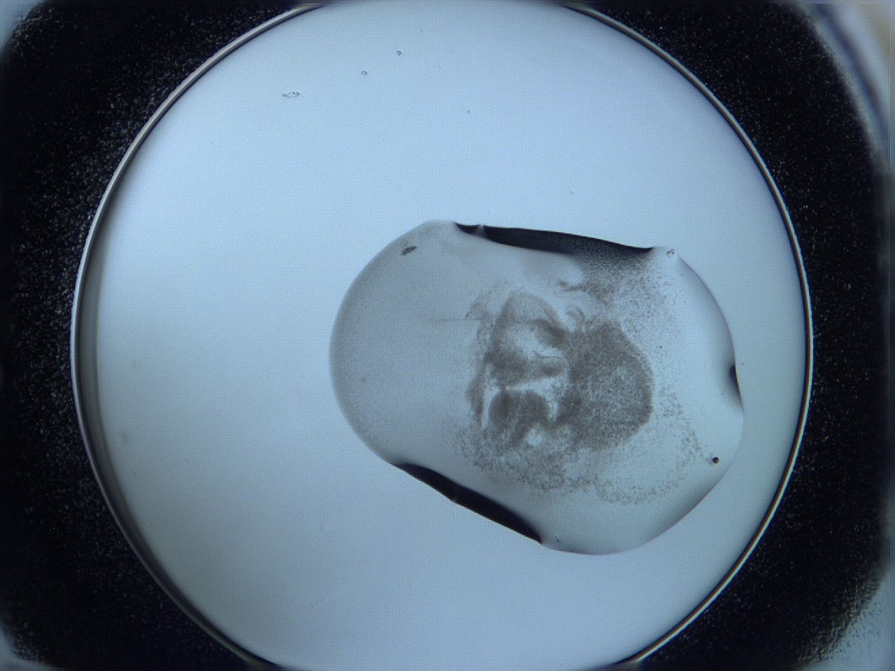 05wc_E12_ImagerDefaults_3.jpg