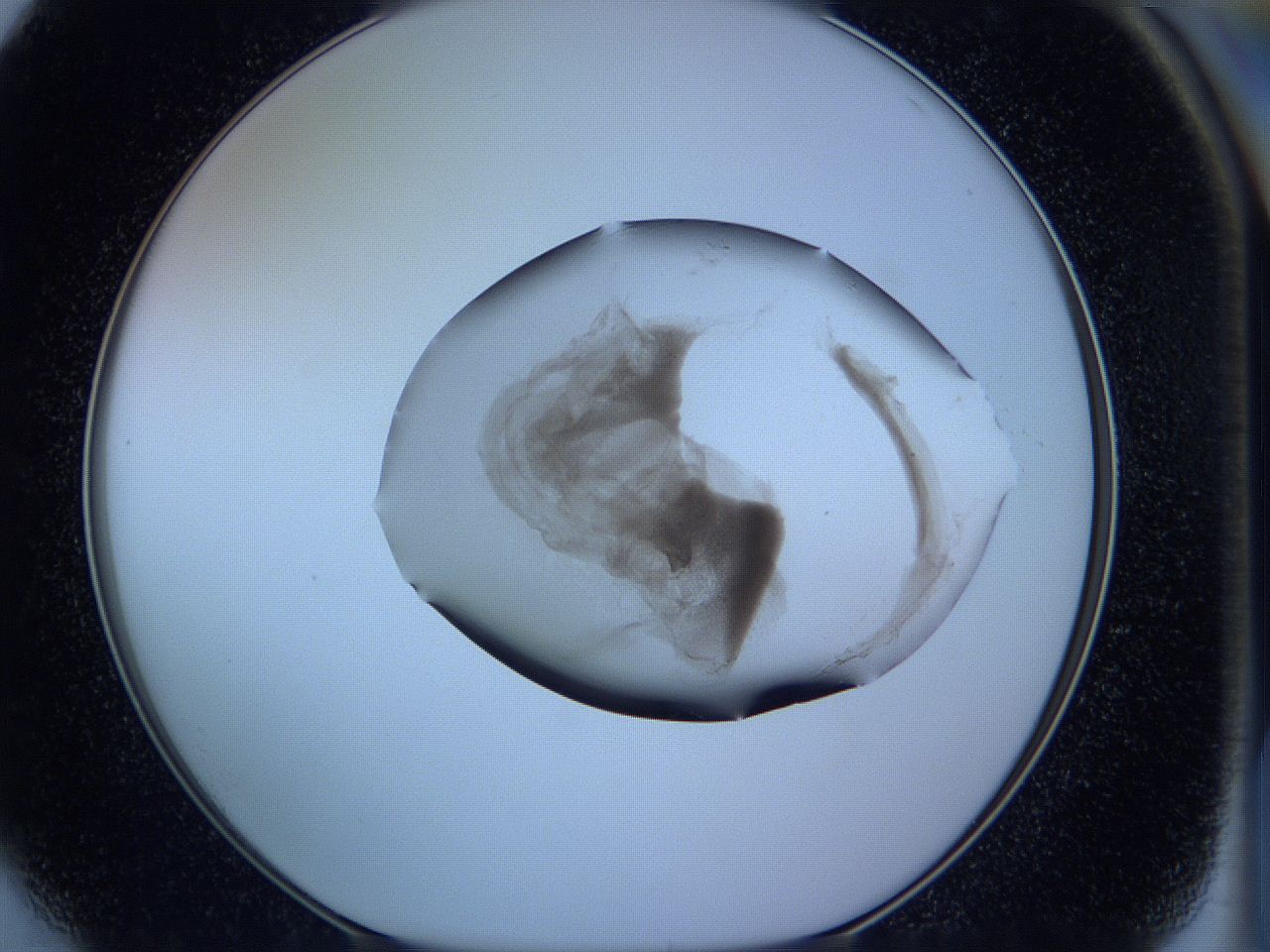 05wc_F4_ImagerDefaults_3.jpg