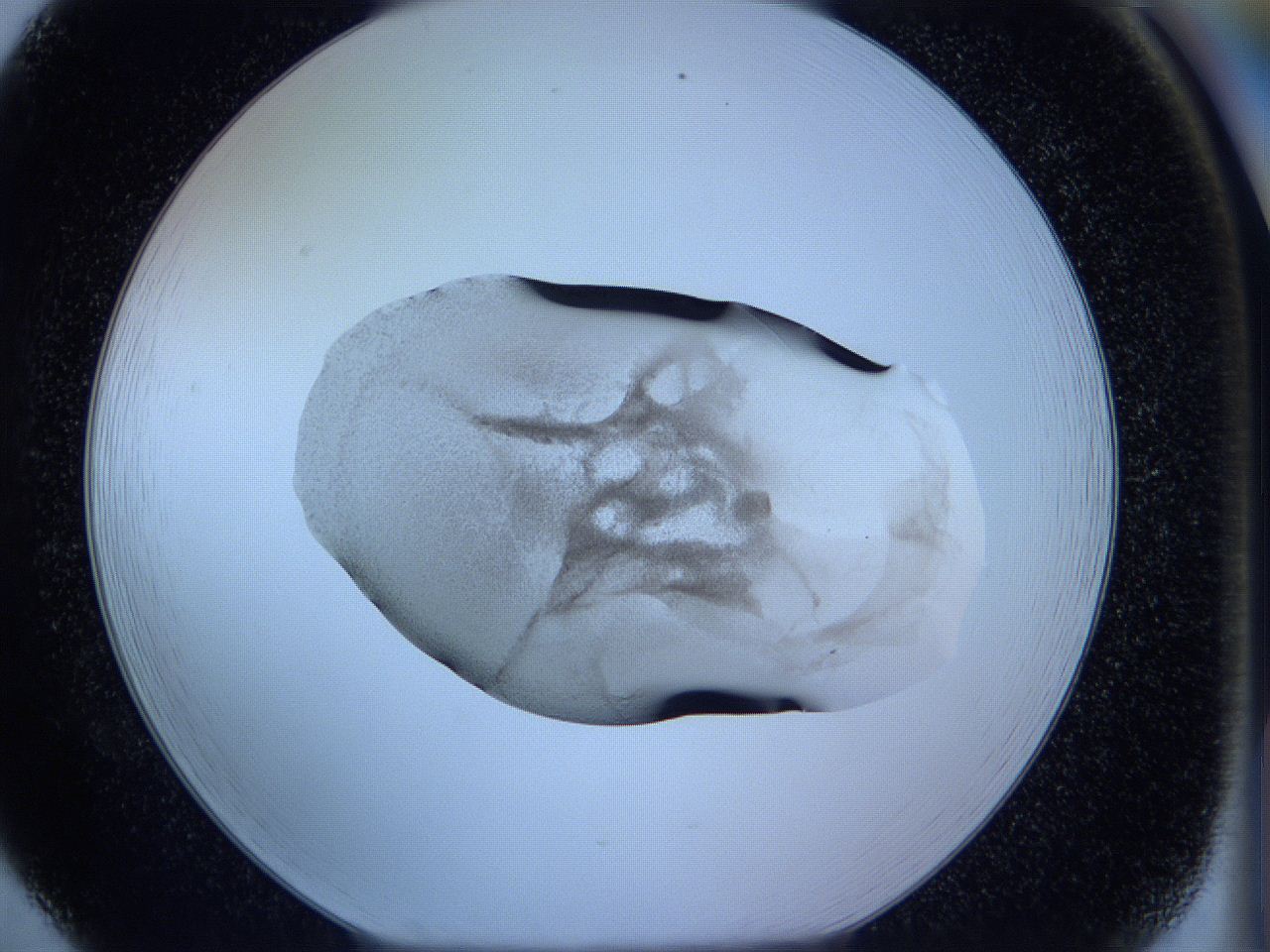 05wc_F5_ImagerDefaults_3.jpg