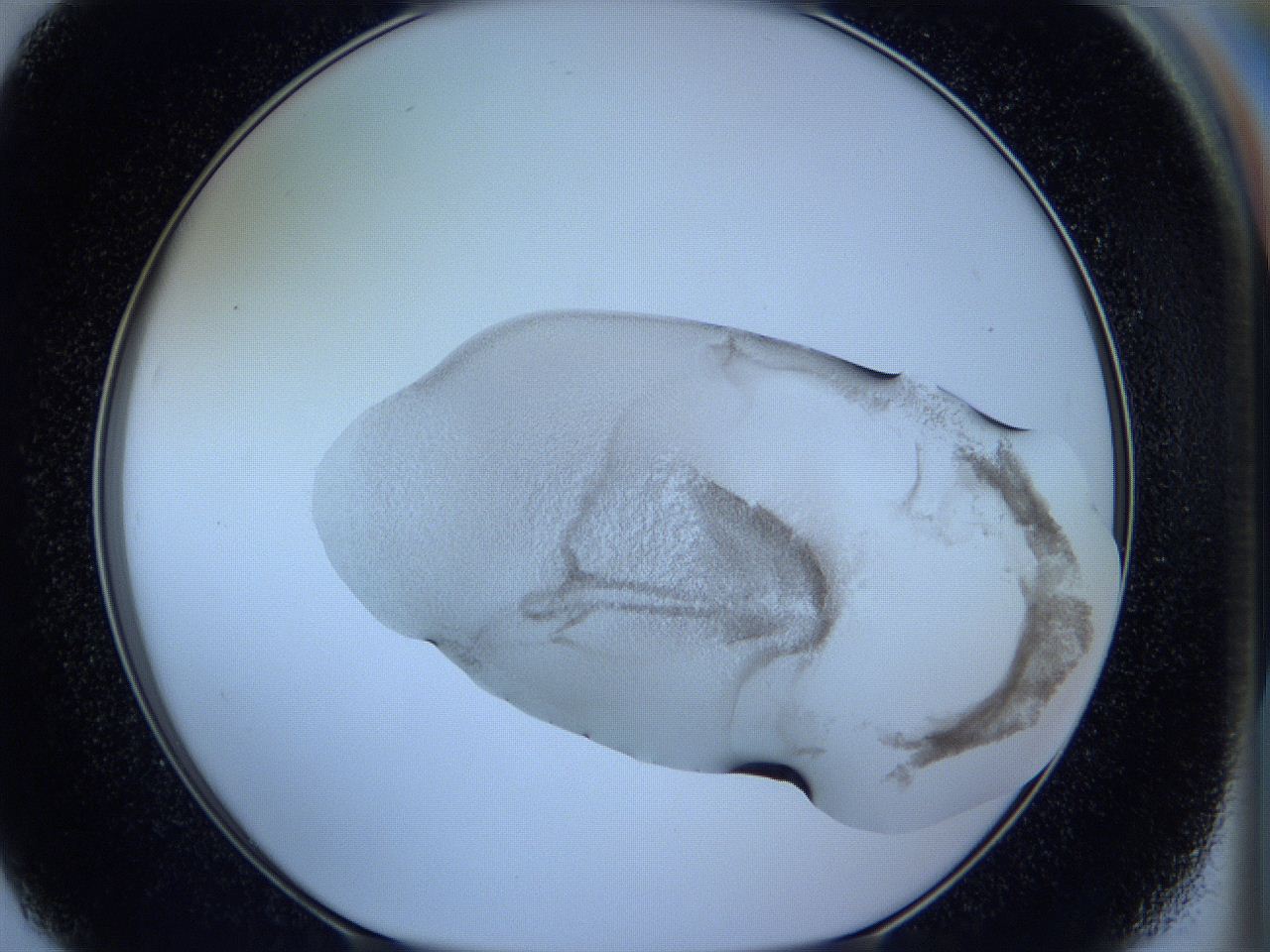 05wc_F7_ImagerDefaults_3.jpg