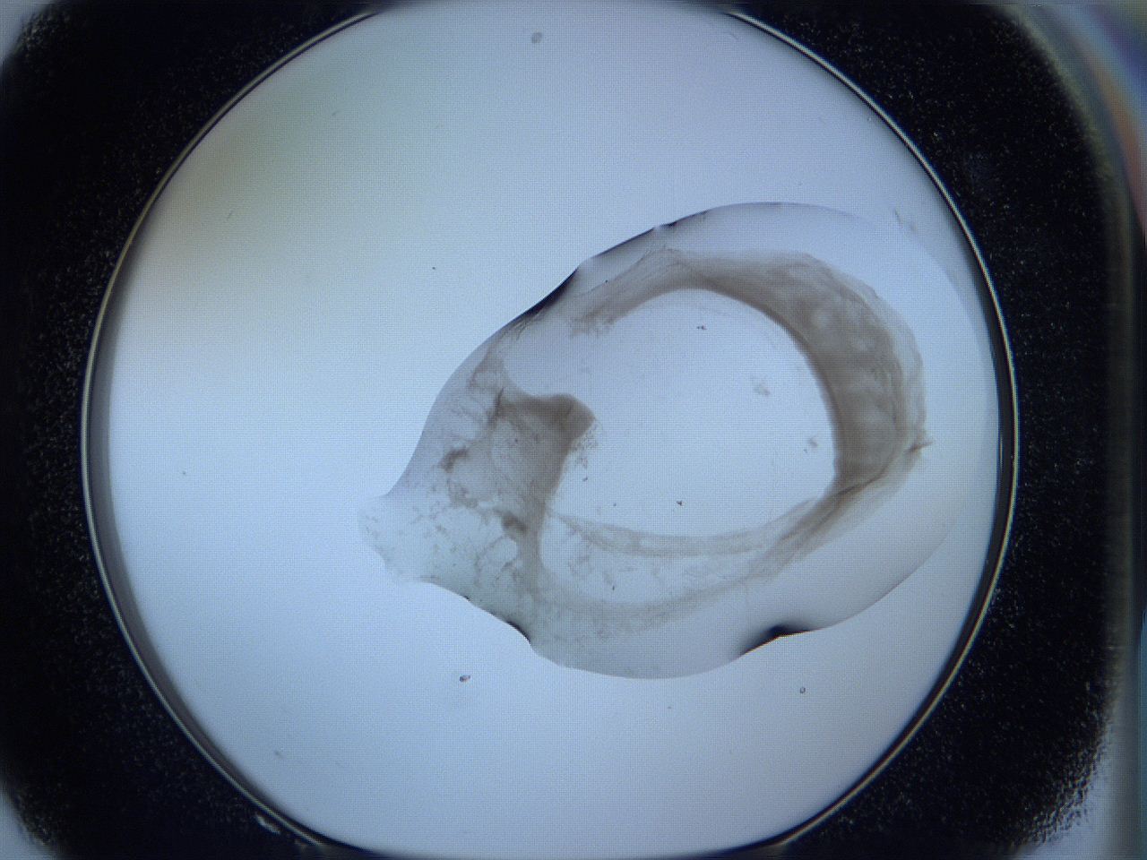 05wc_F8_ImagerDefaults_3.jpg