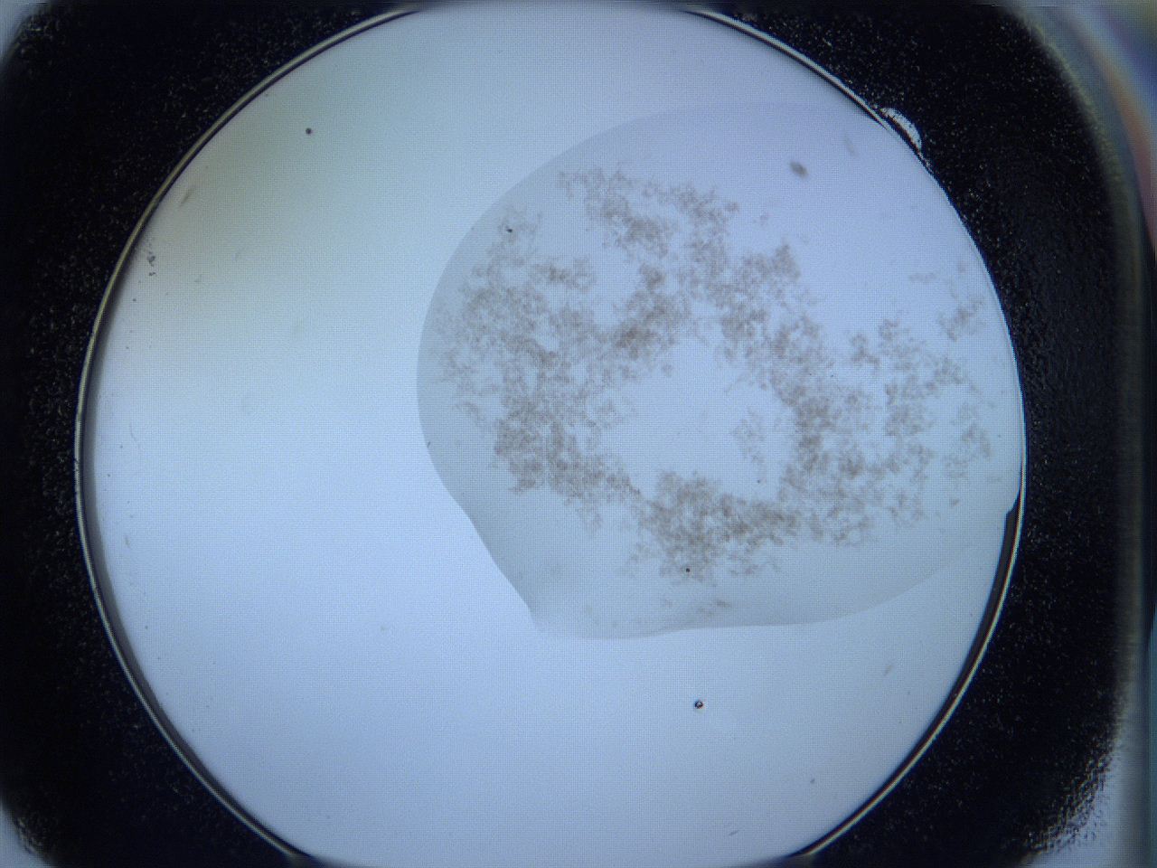 05wc_F9_ImagerDefaults_3.jpg