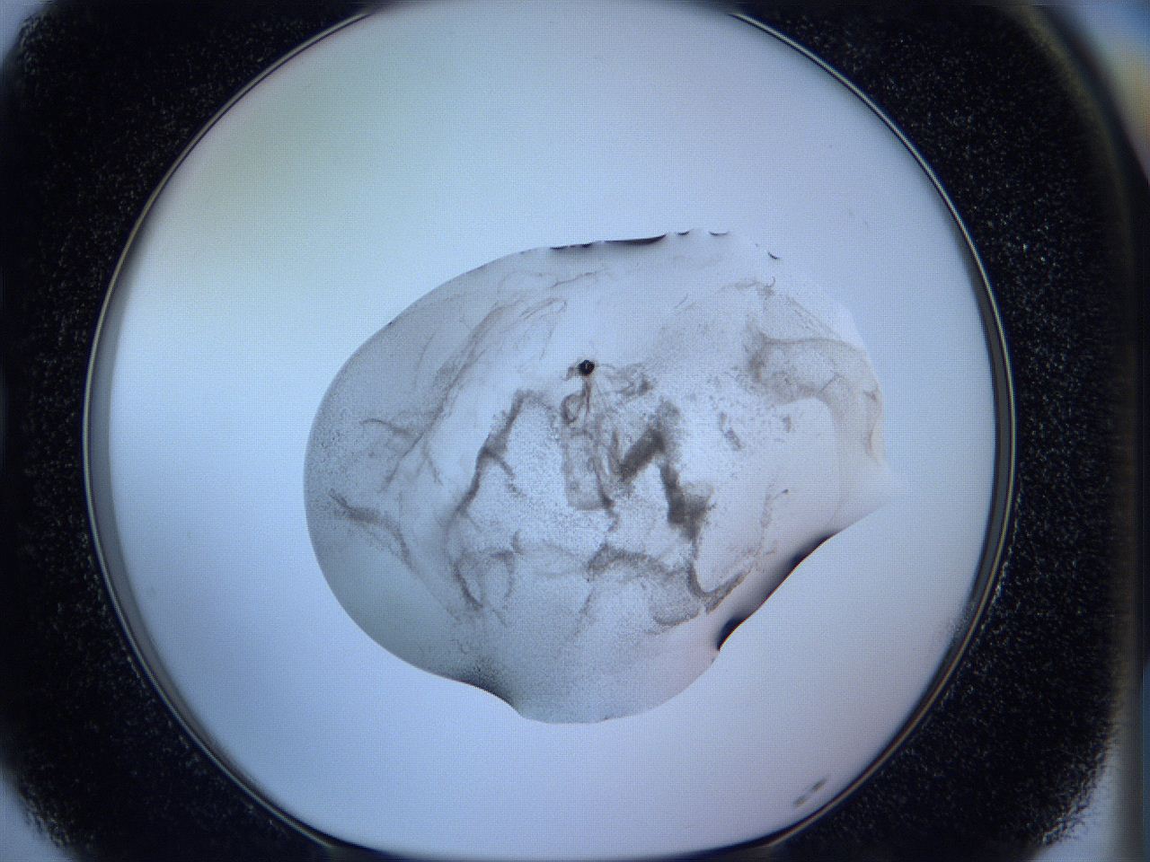 05wc_G5_ImagerDefaults_3.jpg