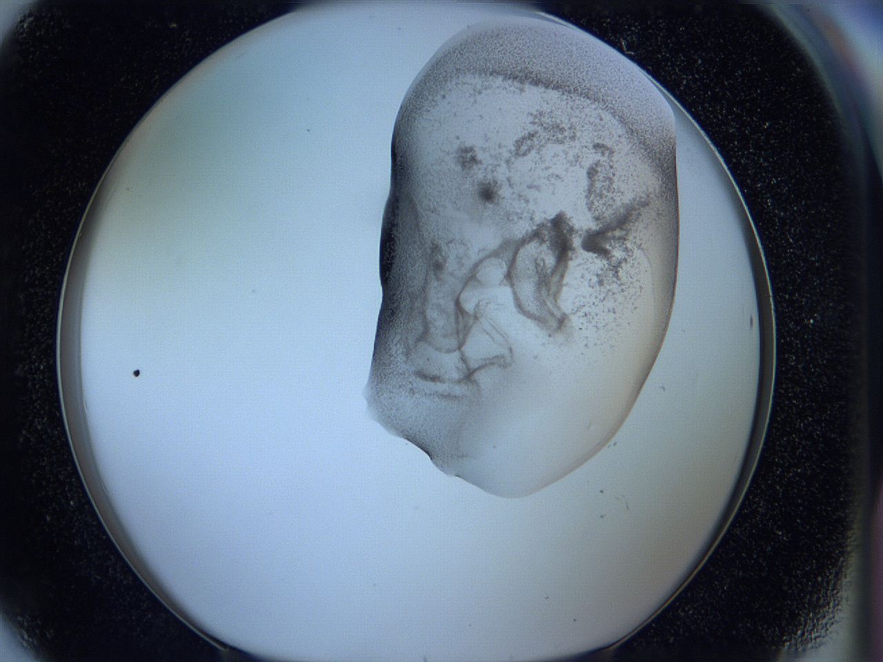 05wc_G8_ImagerDefaults_3.jpg