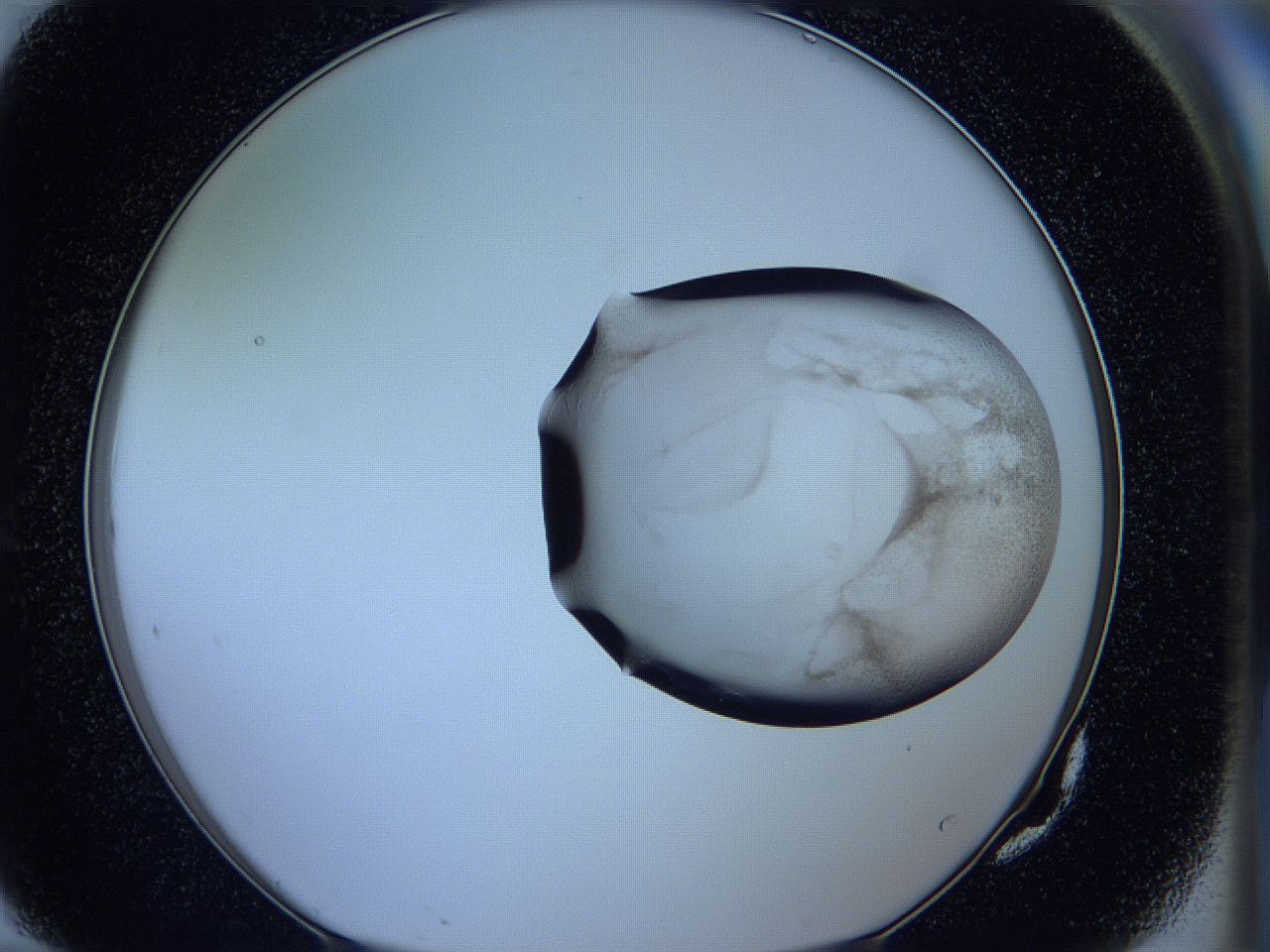 05wc_G10_ImagerDefaults_3.jpg