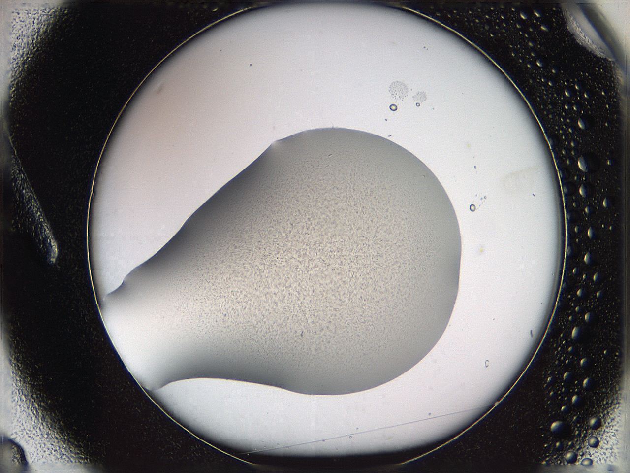 05wd_A3_ImagerDefaults_3.jpg