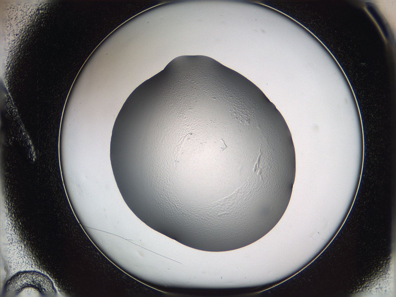 05wd_A10_ImagerDefaults_2.jpg